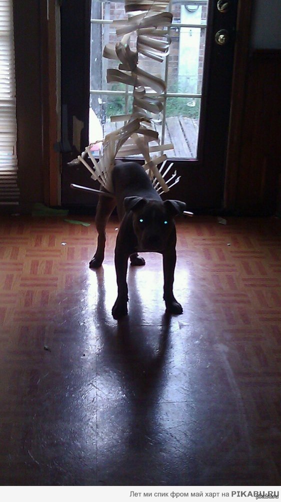 ������? ��, �� �����