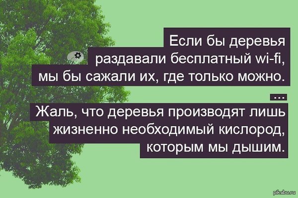 Как жаль | Пикабу