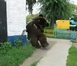 I'd be pissed if I saw this - The Bears, The park, GIF