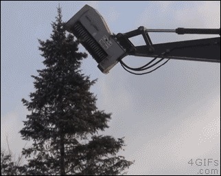 &quot;     &quot;