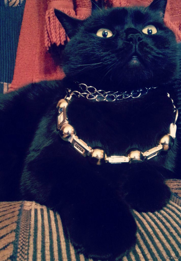 SWAG     .   - .