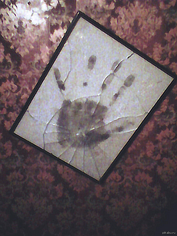 ��������� ������� � �������.