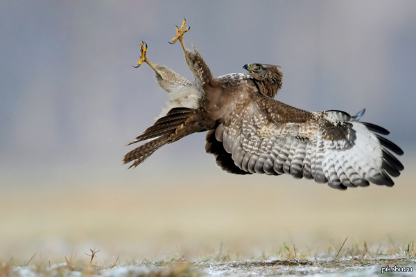 Гироскоп заклинило!