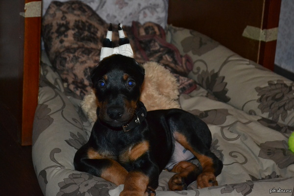 ����� �������! � ���� �������� ������ ����.