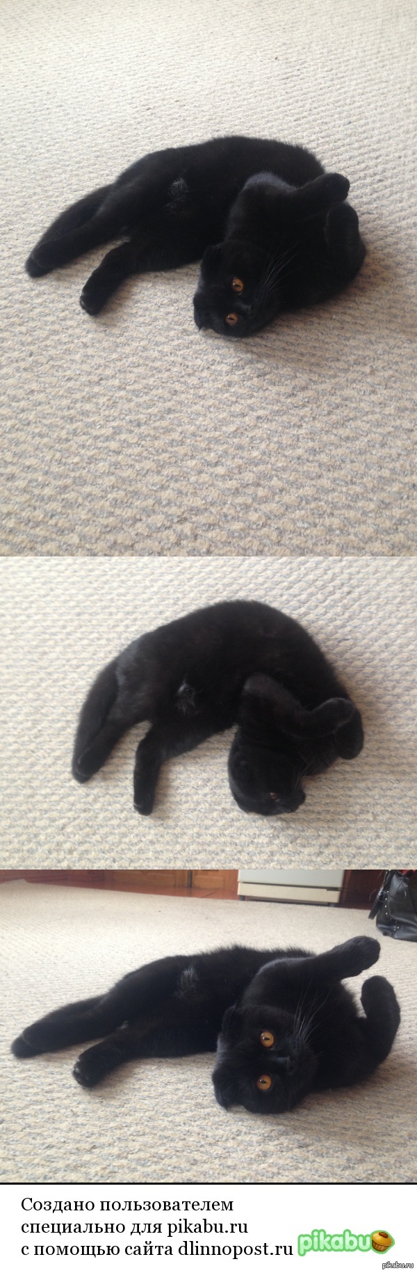 ��� ����