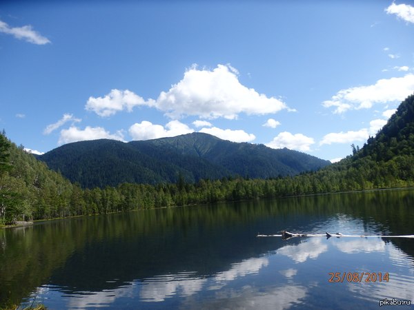 ����� ����������,  �������� �� �������. ����� �������� �� ��������,  ����� �� ����