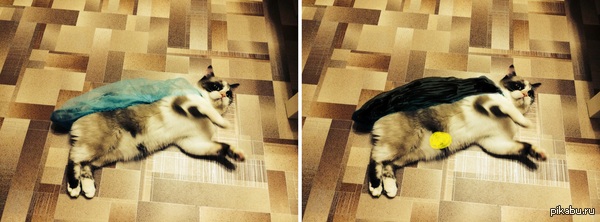 ������ ����!