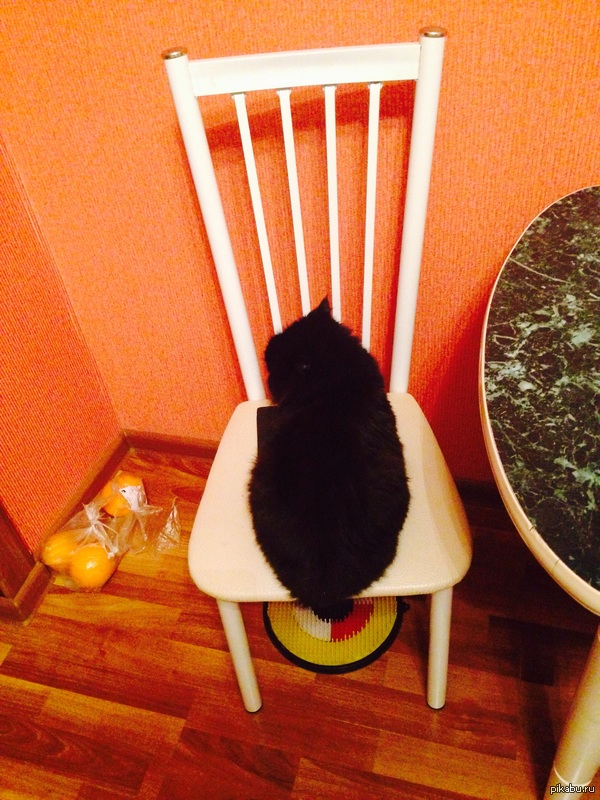 ������ � ����