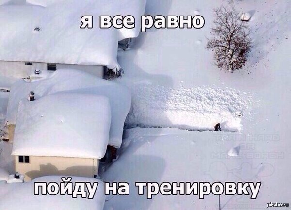 Всё правильно копает