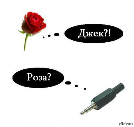 ��������)