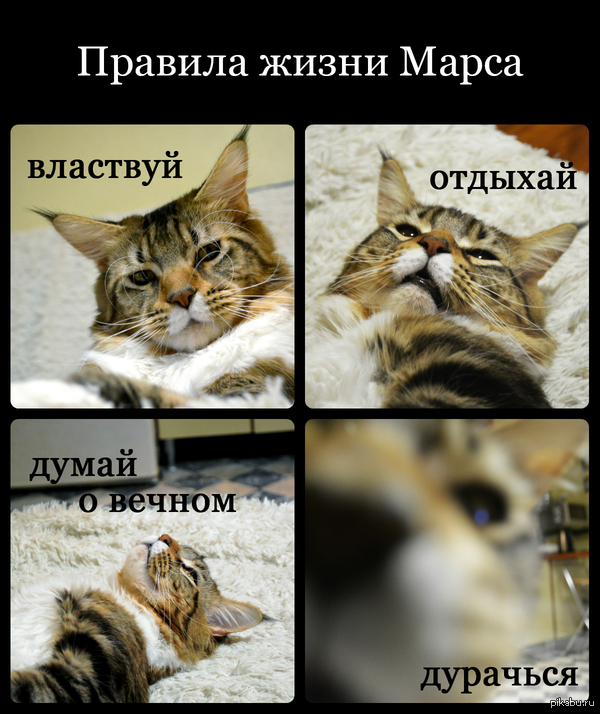 ������� ����� ����� ����