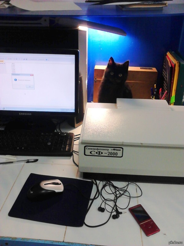 ��� ������� ��� �� ������