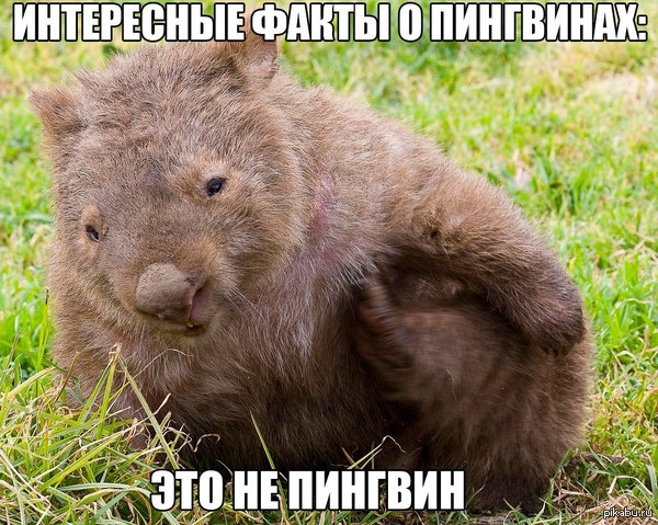 ���������� �����