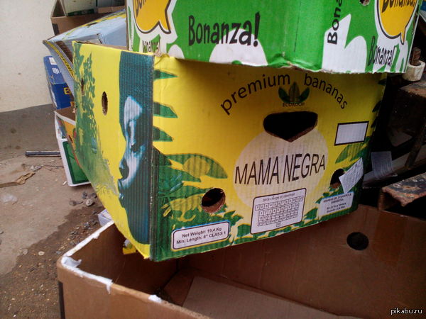 �� �� �� ��������