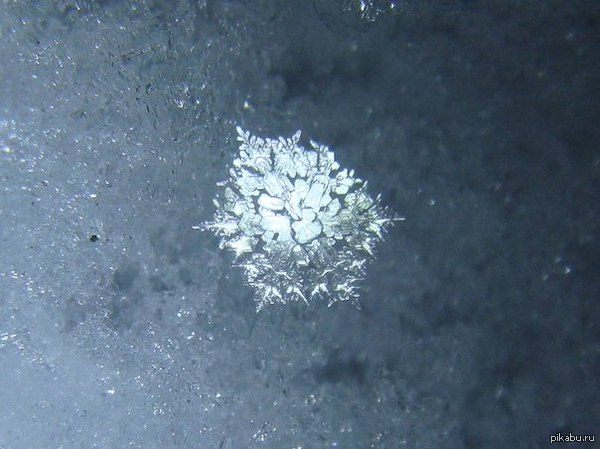 ��� ����� ������� ���������� ��������