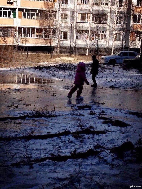 Программа "Уютный двор" в действии