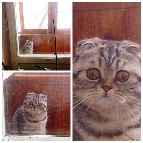 ������� �������� ���� �� �������