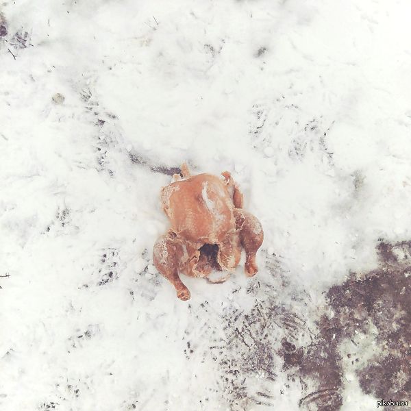 Выхожу я значит с утра из дома..