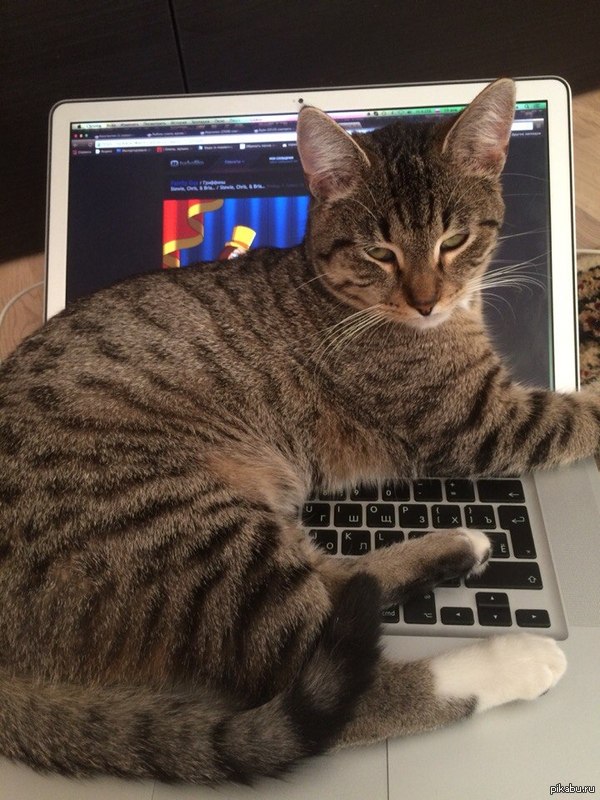 �-��������