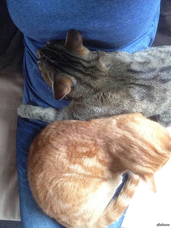 � ����� ������� �������!