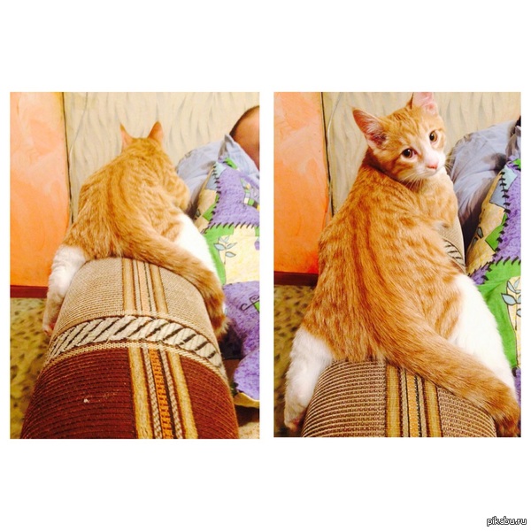 -��,����! -����?