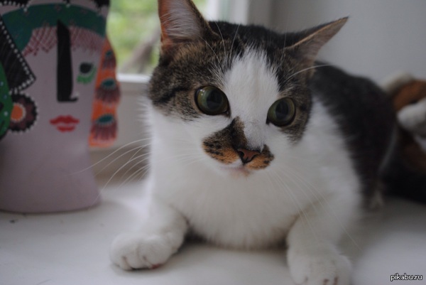 ��� � ��� �������