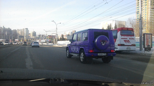 ������ ��� �� ���