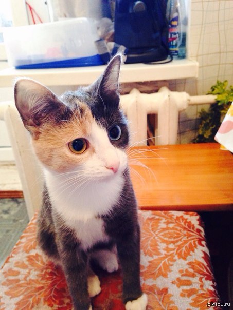 �������)