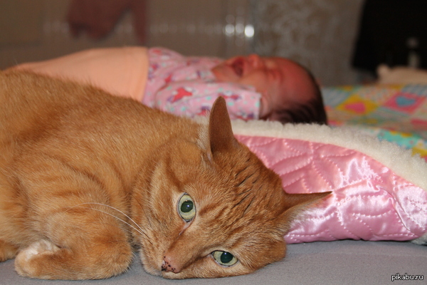 "�� �������� �� ���..."