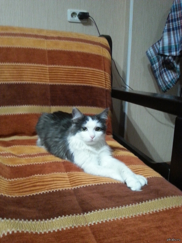 ���-�����������