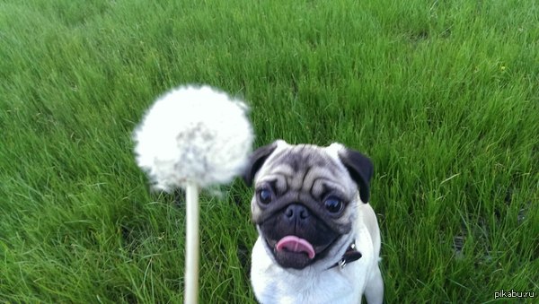 ���������)