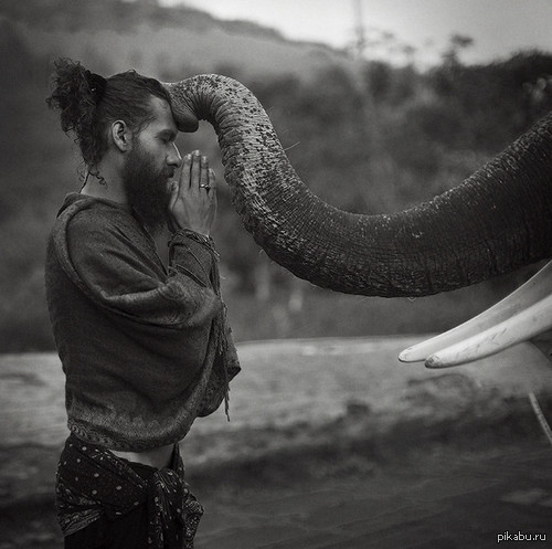 �������� � ��������