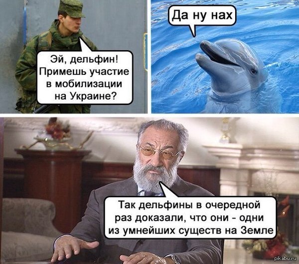 �������� �������� �� �����