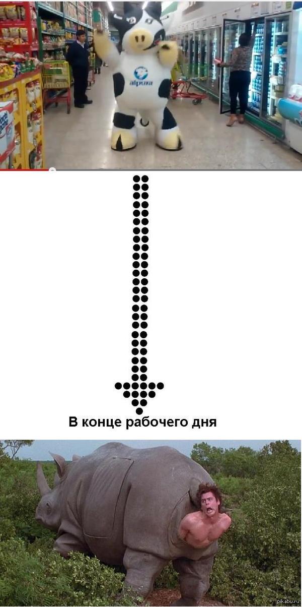   ,   .
