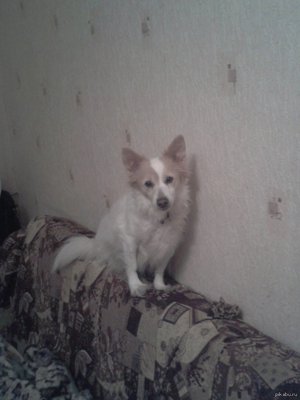 ��� ������� ��� ������ �������