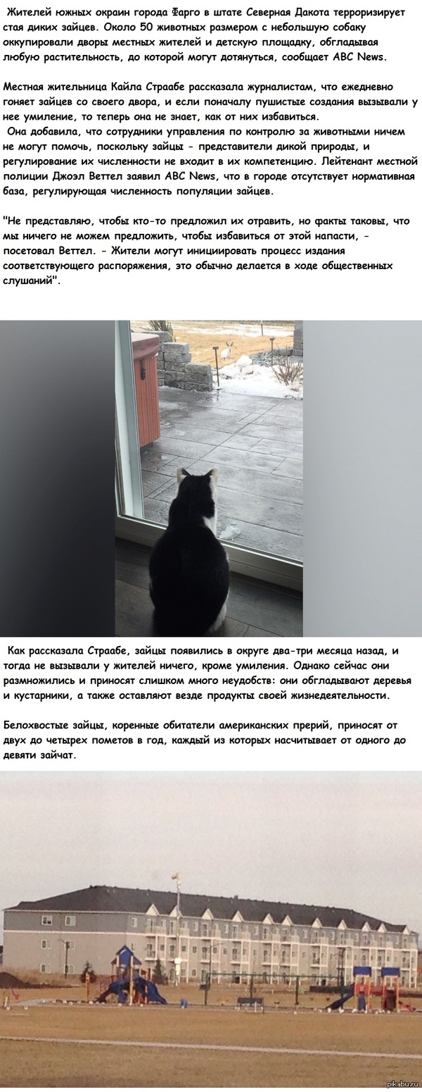 ���� ����� ������ ������������� ��������� �������� ������
