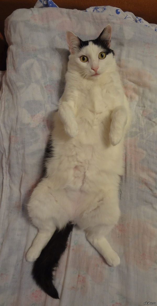 ��� ��� ����� ������ �� ������