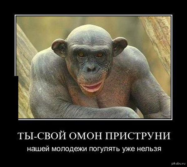 ����� ������� - ����������.