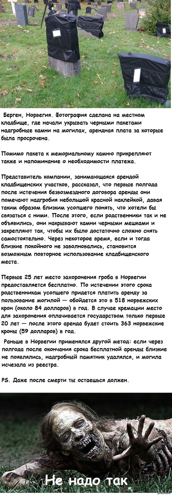 Странные детские книги (45 фото) новые фото Странные детские книги (45 фото) новые фото
