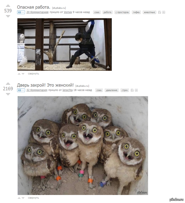   !    =)