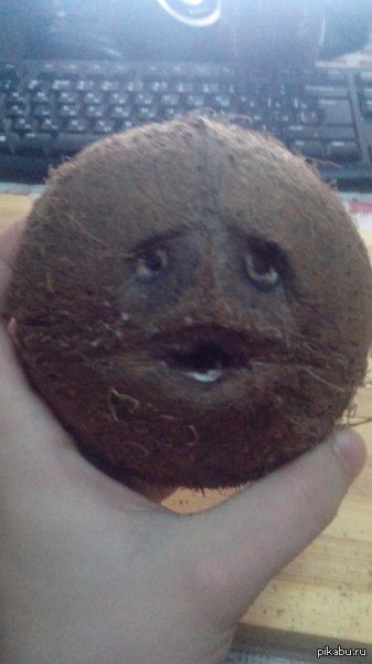 ������ �������� �����...