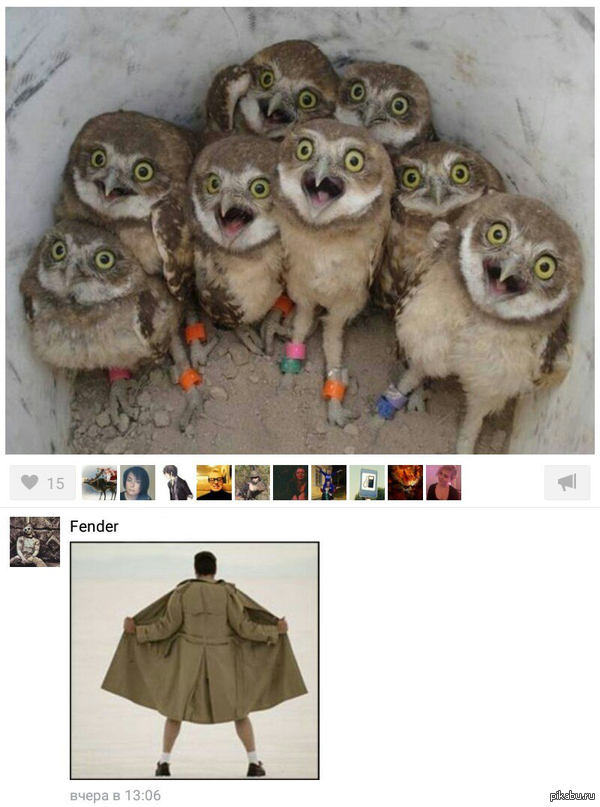 ������ ����