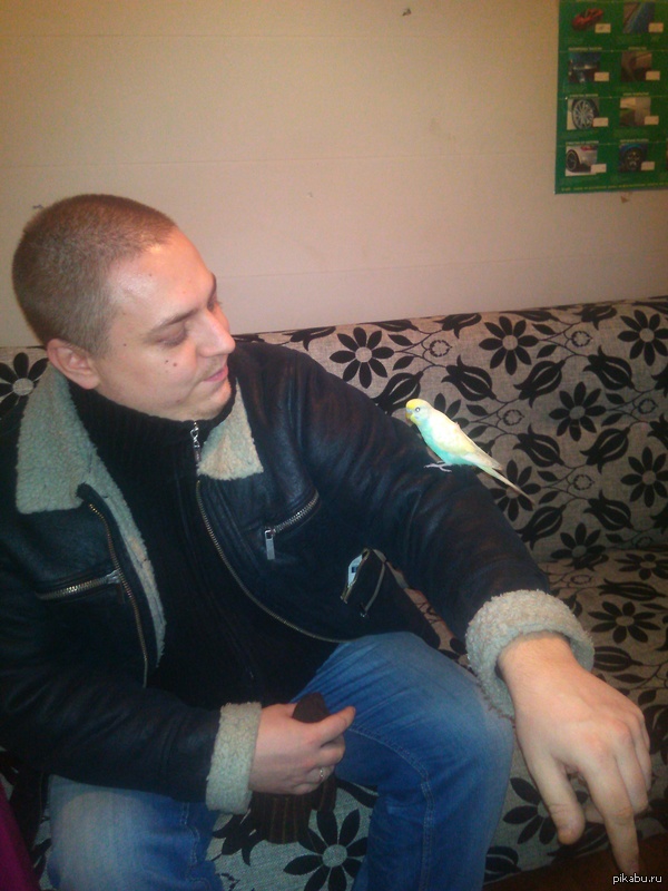 � �������� ������ ������)