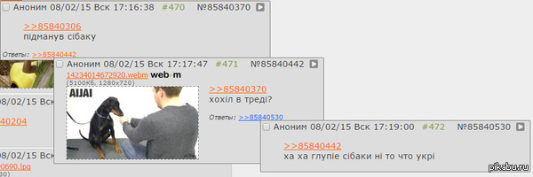    ()