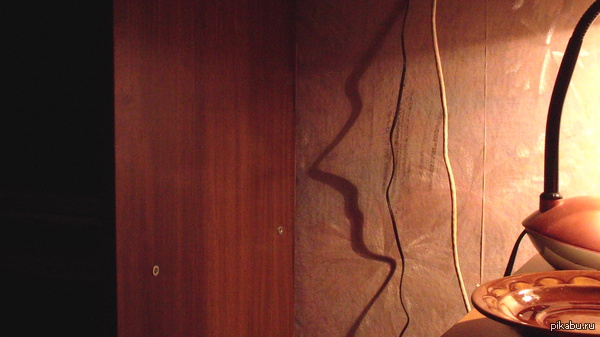 ���� �� ������� � ����� ����