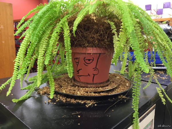 Sideshow Bob. (��������)