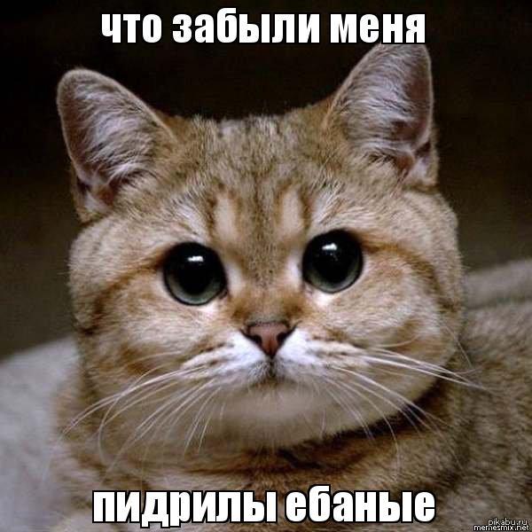   )) 