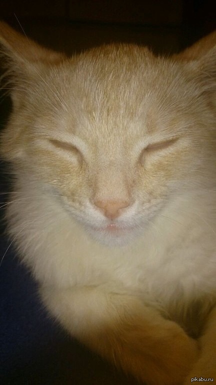 Все хорошо!