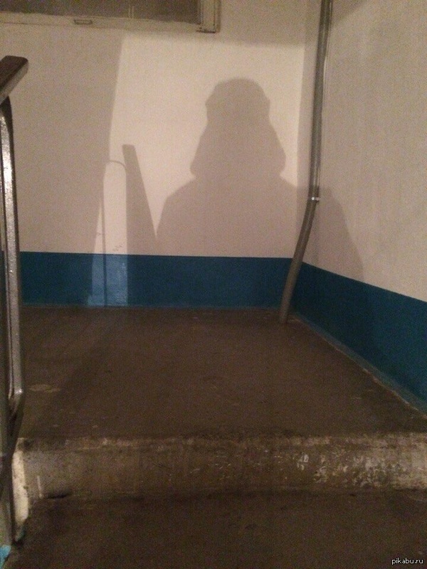 ��� ���� ������ �� ���� �������