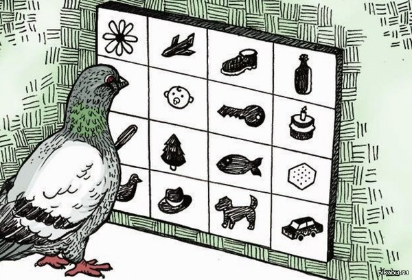 ��������� ���� ������� �������� ��� ��, ��� ���